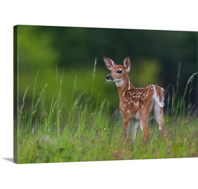 1x Nick Kalathas - Wrapped Canvas Photograph