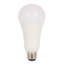 21 watts (équivalent à 150 watts), ampoule DEL A21, à intensité variable, culot moyen E26 (standard)-98344858