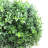 20.98'' Faux Boxwood Topiary