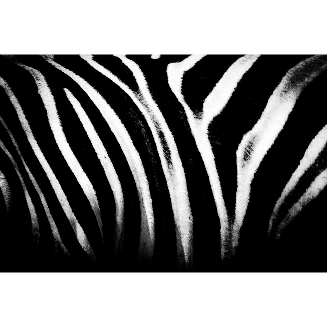 Zebrastreifen - Kunstdrucke auf Leinwand - Wrapped Canvas