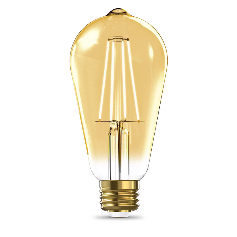 Ampoule à DEL intelligente Fe19 E26 (moyenne) Feit
