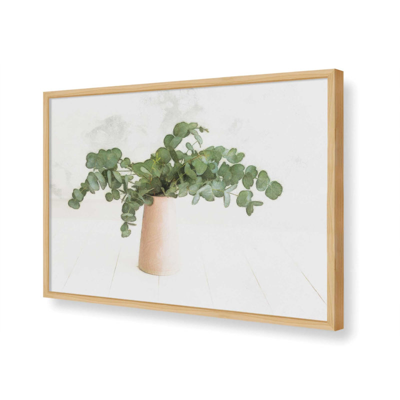 «Eucalyptus Still Life» par Dogwood, L 40 x H 30, Tanné, Impression encadrée