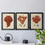 Antique Red Coral I - ensemble de 3 impressions sur toile encadrées-197865919-197865923