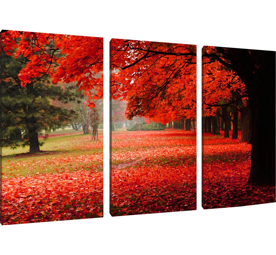 3-tlg. Leinwandbild-Set „Rot gefärbter Park im Herbst", Fotodruck