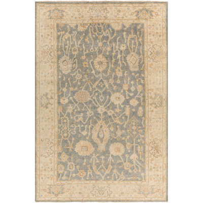 Daucourt Wool Oriental Area Rug