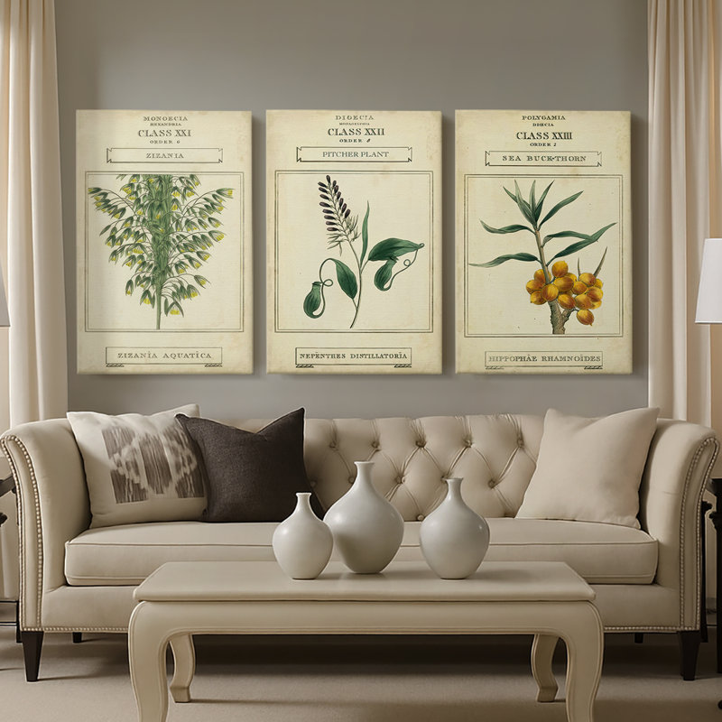 Linnaean Botany I - Toile tendue avec châssis sur mesure - 3 pièces, H 36 po x l 72 po