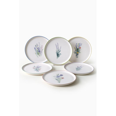 Ensemble de 6 assiettes élégantes en grès de 8,7 po | Capacité de 24,3 oz liq. Antibactérien, écologique, résistant à l'eau | Va au lave-vaisselle et au micro-ondes | Nettoyage facile pour les repas modernes, parfait pour un usage quotidien