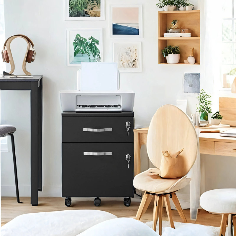 54.4cm Wide 2 -Drawer Mobile File Cabinet