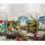 16oz. Pint Glass Set