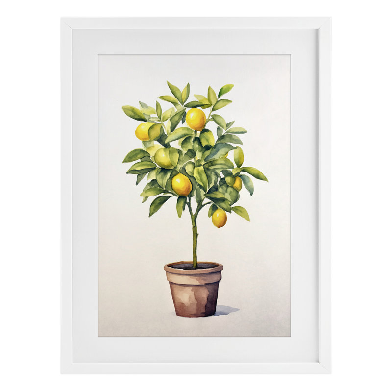 «Citrus Tree Serenade», reproduction sous verre encadrée, design par Andrea Haase, H 23 po x l 17 po, Cadre blanc côtier