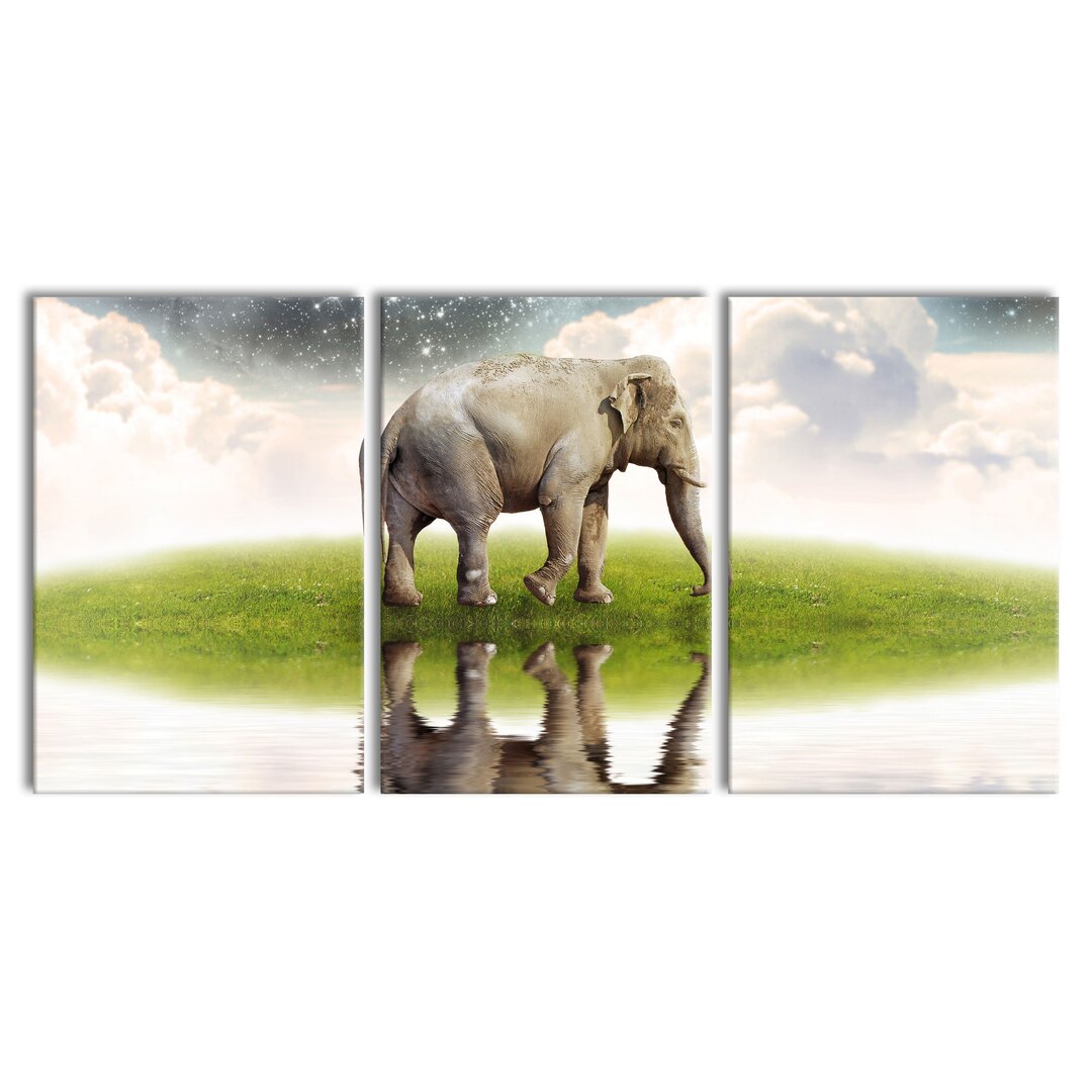 3-tlg. Leinwandbilder-Set Starry Sky and Elephant