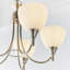 Barium 5 - Light Shaded Chandelier-14439533