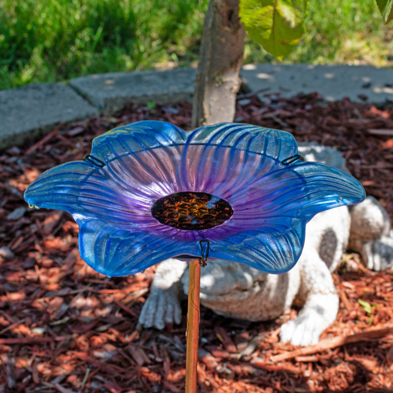 Bol pour bain d'oiseaux en verre Bayview