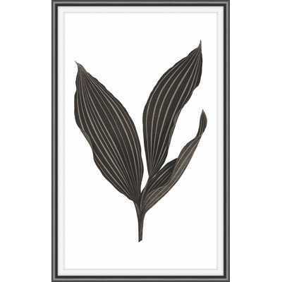 Daily Wish Black 1 Print