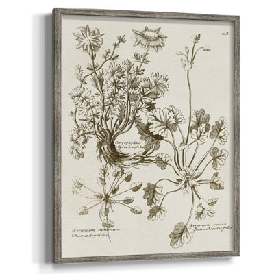 «Sepia Botanical Journal», reproduction encadrée en bois massif