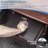 0.23 Cu Ft Top Opening Biometric Security Safe