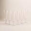 Set/6 Flutes