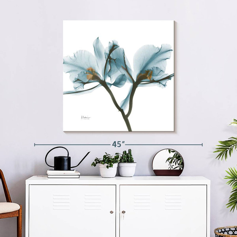 Orchidées Harnek en bleu
