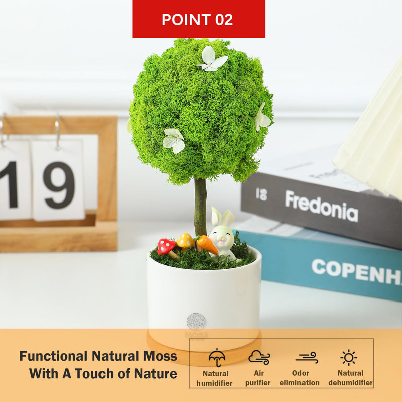 Centre de table Mossever en pot, Vert clair