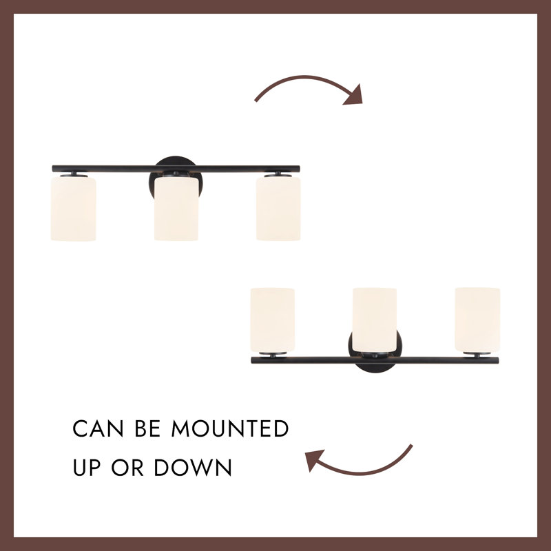 Ezra 22-in Black dimmable Bathroom Vanity Light