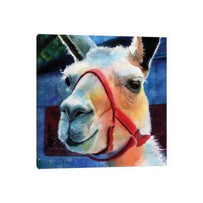 Llama Love by Rachel Parker - Gallery-Wrapped Canvas Giclée on Canvas