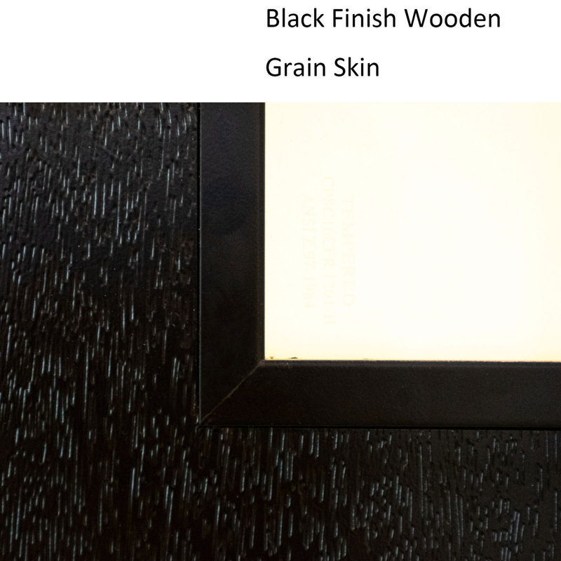 Contemporary Style for Home's Front Entrance Entry Door, Black, Right Hand/Inswing