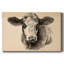 Toile tendue I-Gallery Charcoal Cow-1533464703