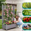 Planter Box With Trellis-676025966