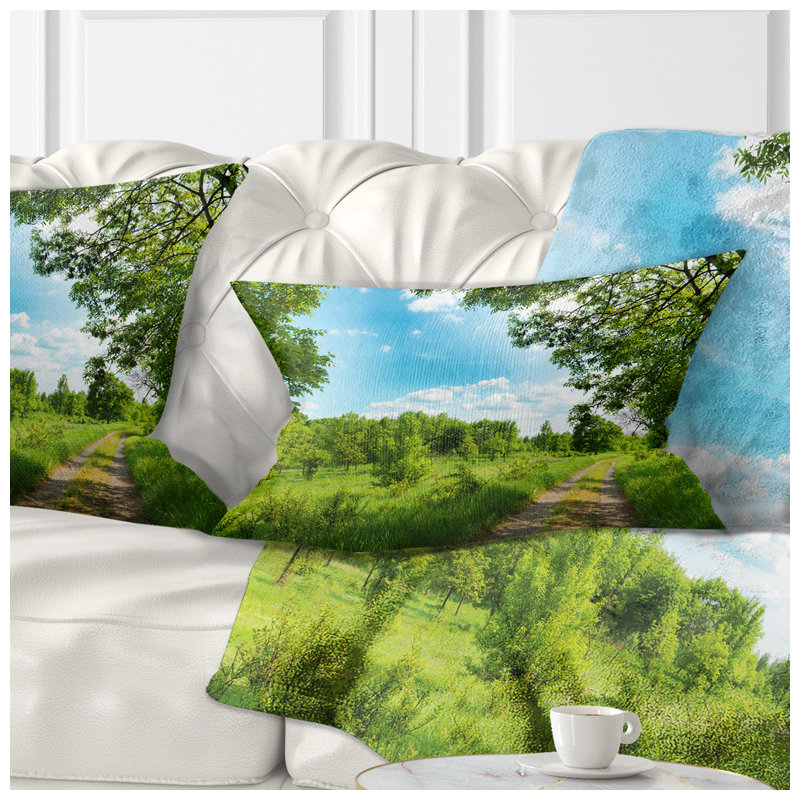 Coussin Forest Road and Sky