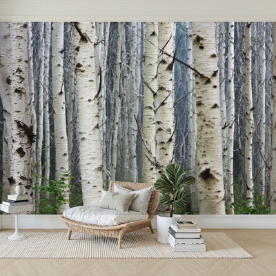Peel and Stick Wallpaper 96" W x 69" H Modern Self Adhesive Wall Mural for Bedroom Birch tree forest morning fog