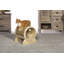 Habitation pour chat 17 "Hoban Kitty