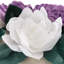Housse de coussin décoratif-100147422