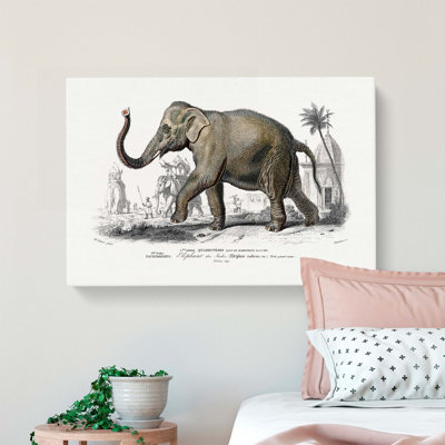 Asian Elephant by Charles d'Orbigny - Wrapped Canvas Painting Pint - Wrapped Canvas