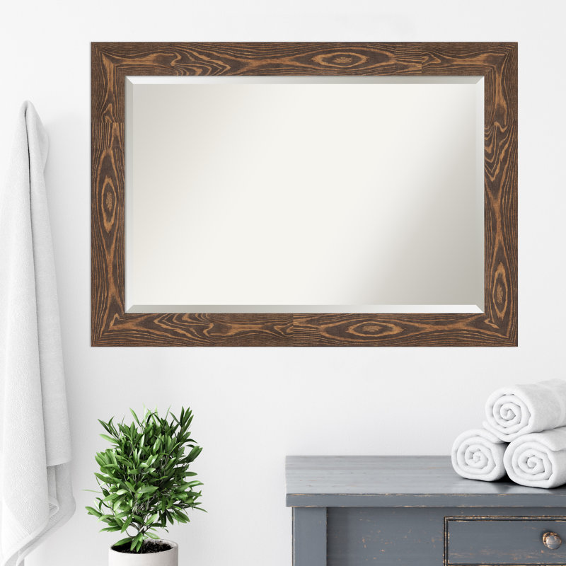 Miroir de salle de bain Brinlee, Brun, 30 po x 42 po