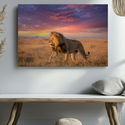 Toile, "Un lion majestueux qui marche en toute confiance à travers une savane dorée", art mural épais avec crinière chatoyante aux teintes chaudes