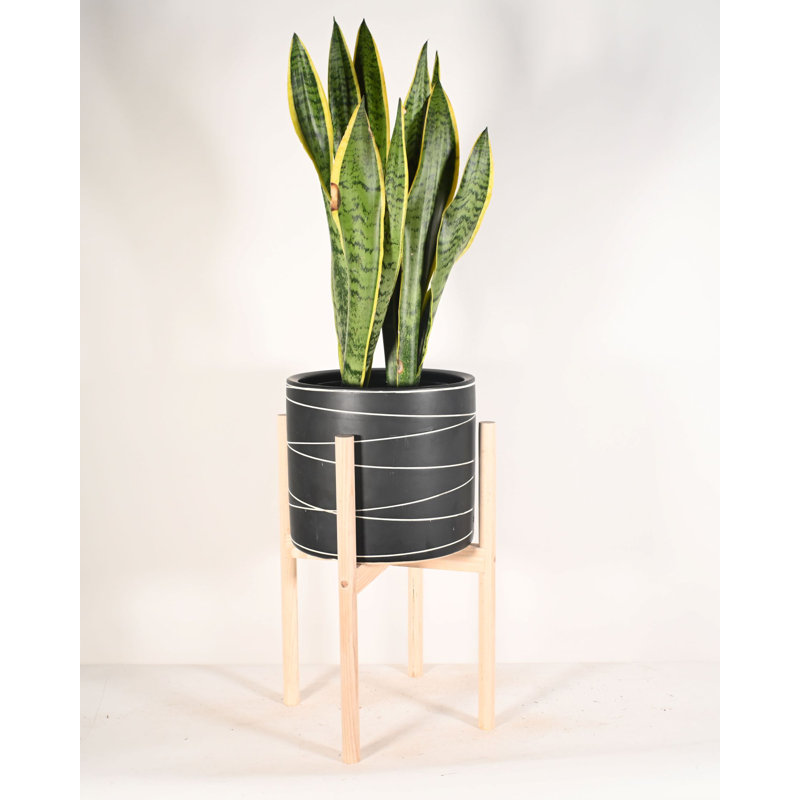Carnel Ceramic Pot Planter, Natural