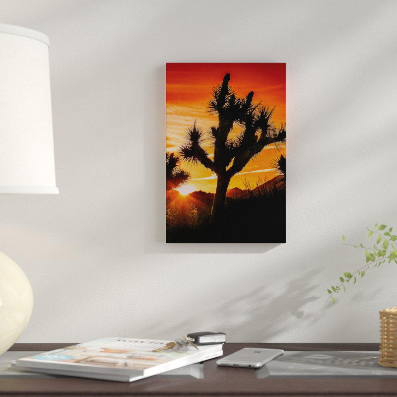 « joshua tree views v », impression sur toile, H 26 po x l 18 po x P 1,5 po, Toile tendue, Pas de tapis