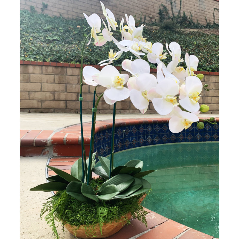 Orchidées florales, Blanc, H 34 po x l 14 po x P 14 po