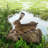 Miraflores Rabbit Animals Resin Garden Statue