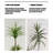High-End Dragon's Blood Tree Bionic Green Plant