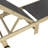Trabuco Modern 2-Piece Acacia Wood Outdoor Chaise Lounge Chair & Side Table Set, Adjustable Sling Backrest with Wheels, Light Teak/Dark Gray-1193693698