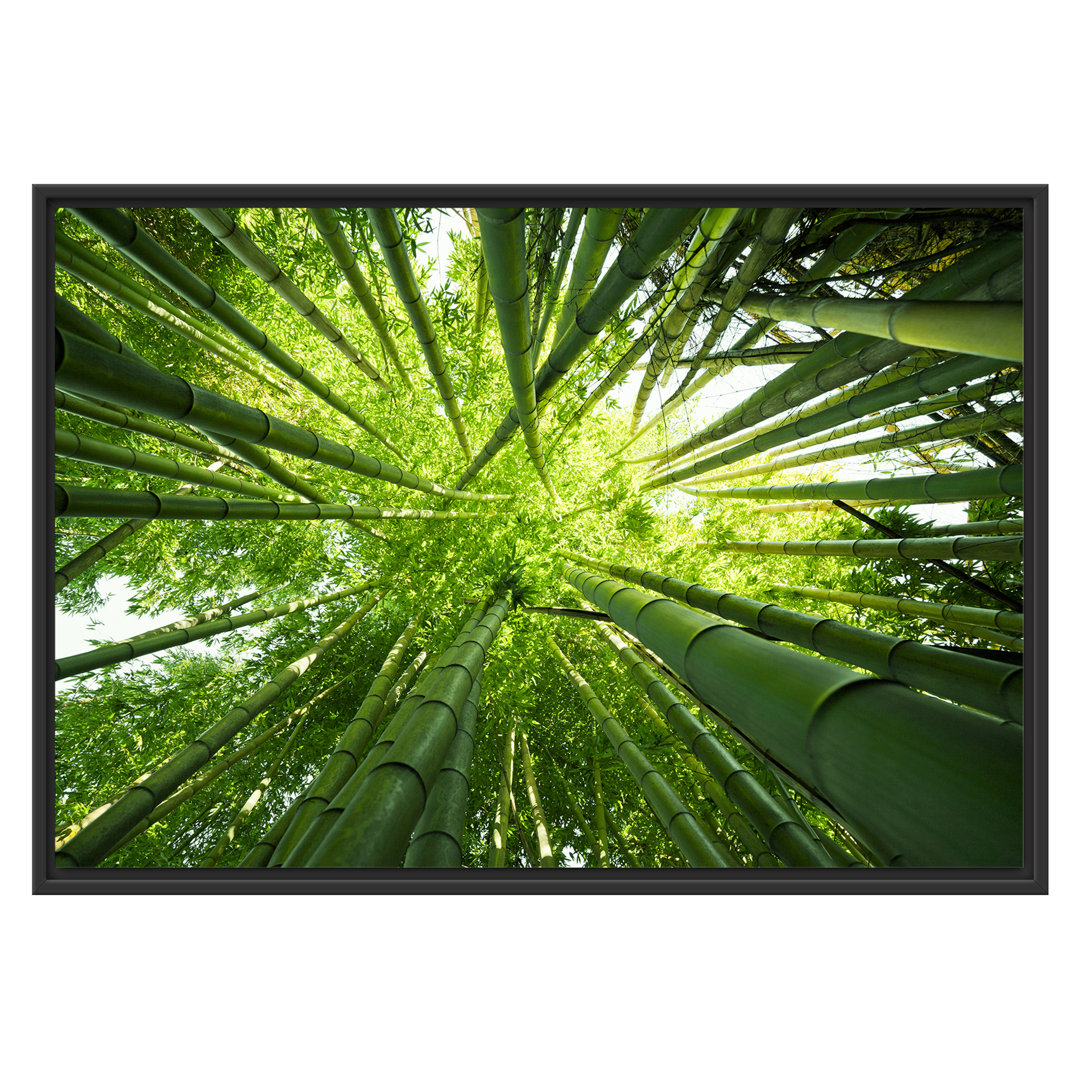 Gerahmter Fotodruck Green Bamboo