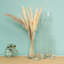 Monico Glass Table Vase-2129816348
