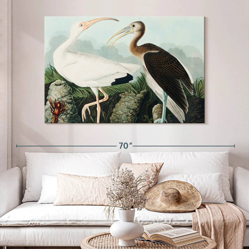 Brampt White Ibis, 34" H x 51" W