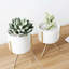 Adrius Pot Planter-1729423047-1729423044