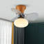 Kosie 21.25'' Ceiling Fan with LED Lights-607236731