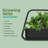 AeroGarden Sprout Grey-119070184