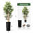Artificial Tree in Blue and White Planter Fake Bamboo Silk Tree (Plant Pot Plus Tree)-103684163