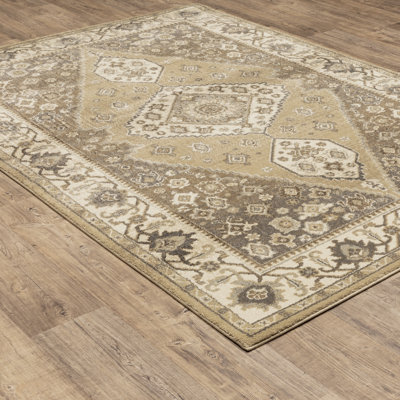 Caryll Oriental Indoor Rug