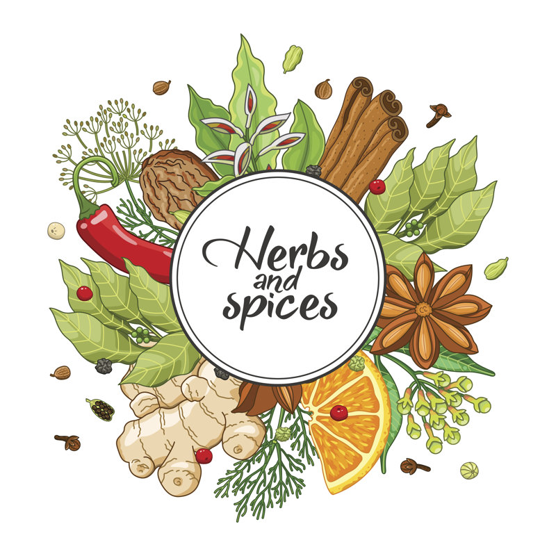 Vector With Spices - Wrapped Canvas Print, 76cm H x 76cm W x 3.8cm D